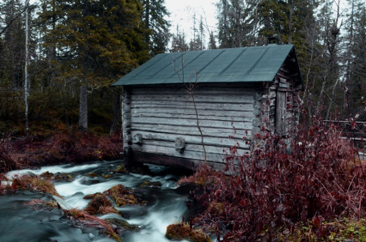 tumblr_lughucKNrl1r1yhz7o1_1280